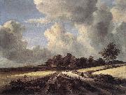 Jacob van Ruisdael Wheat Fields Sweden oil painting reproduction